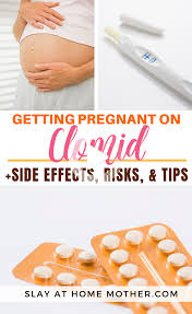 How To Take Clomid While Trying To Get Pregnant In 2020 Getting Pregnant Pregnant Clomid