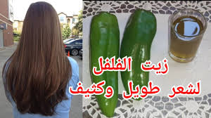 عماد ميزاب اسهل طريقة لتحضير زيت الفلفل لتطويل وتقوية الشعر وصفة الدكتور عماد ميزاب Youtube