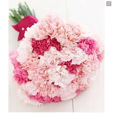 It is probably native to the mediterranean region but its exact range is unknown due to extensive. Love Dark Or Light Carnation Flower At Rs 599 Pack Nayabans Noida Id 16383146662