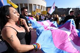 History of the Transgender Flag Pride Month | HYPEBAE