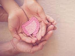 24 Best Probiotics In Singapore For Women [2022]