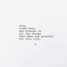 Bella Montreal Insta Bella Montreal Pinterest Weheartit Bella4549 Stop Stand Here Breathe In Al Grateful Quotes Simple Poems Stand Quotes