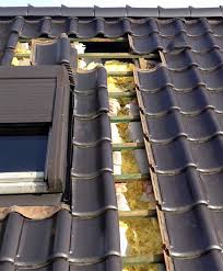Den dachboden vor weiteren mardern zu schützen. Marderabwehr Mardervergramung Dauerhaft Marder Vertreiben