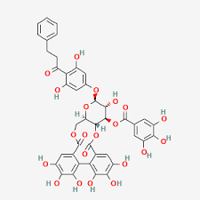 Image result for Thonningia