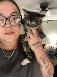 Pensacola Pets Lost and Found