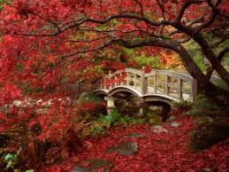 You can not sell, license, sublicense, rent, transfer or distribute this image exactly as it is without alteration. 89 Japanese Nature