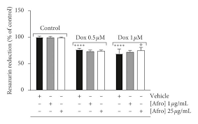 Image result for Ptycholobium contortum