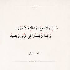 شعر أحمد شوقي وباك ولا دمع وشاك ولا جوى عالم الأدب Beautiful Arabic Words Arabic Words Arabic Calligraphy