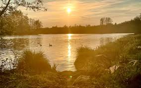 There are no spa services available at this hotel. Schwimmen Am Barmener Baggersee Radio Rur