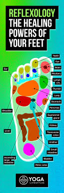 Reflexology Foot Map The Healing Powers Of Your Feet