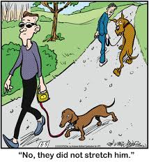 Marmaduke By Brad Anderson For August 05 2020 Gocomics Com Marmaduke Comic Strips Cartoonist
