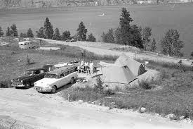 Image result for Harvest Yellow 1956 Buick