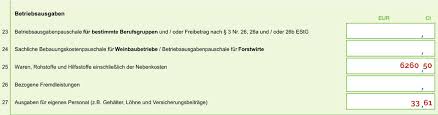 Aufwendungen für ein häusliches arbeitszimmer sind ausschließlich in zeile 70 zu erfassen. Steuererklarung Machen Mit Einem Kleingewerbe So Gehts