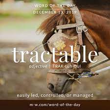 Word Of The Day Tractable Words Weird Words Unusual Words