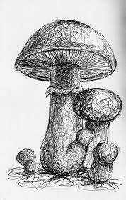 Bailey S Sketchbook On The Journey Black And White Art Drawing Natural Form Art Mushroom Drawing