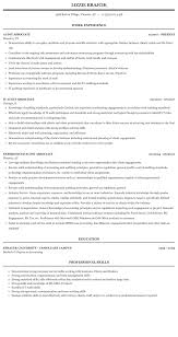 audit associate resume sample mintresume