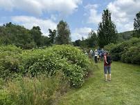 Tour Mountain Top Arboretum
