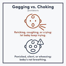 Gagging vs. Choking When Baby Starts Solids - Solid Starts
