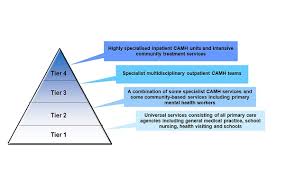 Camh Service Tiers