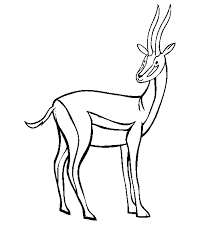 Sunt in total 27 de planse de colorat cu animale maimute. Planse De Colorat Cu Antilope