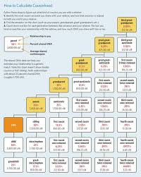 Counting Cousins How To Calculate Cousinhood Ancestry