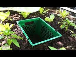 Beetbox Wurmkompostierung Im Beet Diese Beetbox Macht Aus Organischem Abfall Den Besten Humus Fur Gesunde Und Ertragreich Worm Composting Compost Garden Care