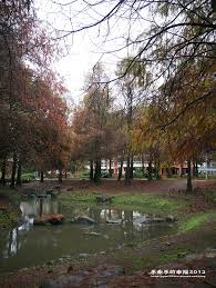See more of 與羅東運動公園落羽松綠地一起呼吸 on facebook. ç¾…æ±é‹å‹•å…¬åœ'è½ç¾½æ¾ å­£ç¯€é™å®š é­šå…'x ç‰½æ‰‹æ˜Žå¤ªå­çš„ è¦– ç•Œæ—…è¡Œ