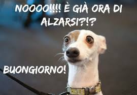 Https Encrypted Tbn0 Gstatic Com Images Q Tbn And9gctrcnhjhfi Bb4btiagyxbcgxvleabs Qjpog Usqp Cau