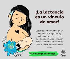 Frecuencia en la lactancia materna. Fundacion Apego