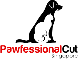 #cat blog #thesilverpaws #shedding season #have mercy #furballs. Cat Grooming Singapore Housecall Cat Grooming Pawfessional Cut