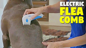 Electronic electric flea comb puppies fleas treatment safe pets kill for dogs cats eu plug pet supplies comb for cat dog. Best Electric Flea Comb For Dogs And Cats Flea Doctor Thesuperboo