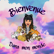 Charlotte Petsitter 37