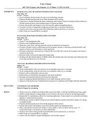 Employers always look for what an applicant can give and offer to the company as they work and the primary tool for them to know the applicant is by reading. Business Information Systems Resume Samples Velvet Jobs