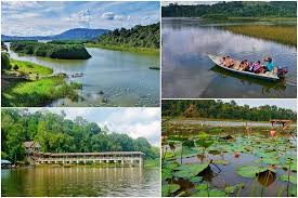 Lebih 100 spesis ikan air tawar menunggu joran si kaki pancing untuk ditarik ke dalam bot. Johorkini On Twitter Kuantan 8 Nov Kerajaan Negeri Pahang Akan Mengambil Langkah Untuk Mewartakan Tasik Semula Jadi Kedua Terbesar Di Malaysia Tasik Chini Di Pekan Sebagai Sebuah Taman Negeri Yang Baru Dan