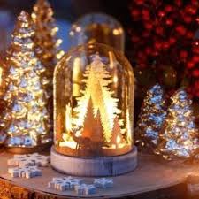 Weihnachtsbeleuchtung Online Kaufen Bei Gartner Potschke Weihnachtsbeleuchtung Weihnachtsbeleuchtung Aussen Weihnachtsbeleuchtung Fenster Innen