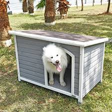 Building a good, outdoor, feral cat shelter can take a little time and takes some supplies, but what do you do when you need to cobble something together at the last minute? 10 Best Insulated Dog Houses 2021 Winter Dog House Reviews