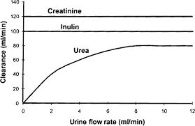 • high creatinine levels occur due to any number of diseases that cause the kidneys to shut down, including dehydration, shock, congestive heart failure, and bladder outlet obstruction. Blood Urea Nitrogen And Serum Creatinine Circulation Heart Failure