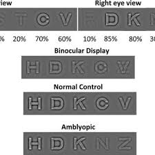 Schematic Diagram Of The Dichoptic Eye Chart Letters Were
