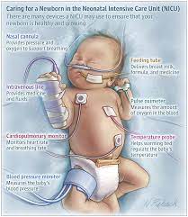 Pin By Jaquelin Sinus On Nursing Bundle In 2021 Neonatal Nurse Pediatric Nursing Nursing School Survival