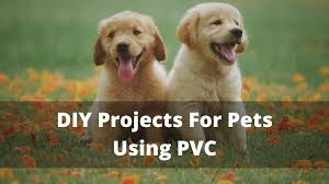 Build Pet Projects With Pvc Pipe Quick And Easy
