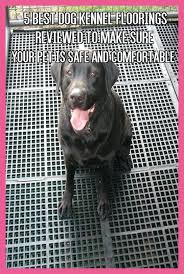 Pin By Kit Padgett On Dog Boarding Kennels In 2020 With Images Dog Kennel Flooring Dog Kennel Outdoor Dog Kennel