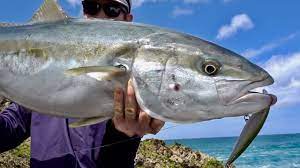 Fishing And Surfing Hat Head Youtube