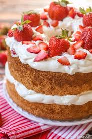 Tender and true love is what mother made from. 36 Best Mothers Day Cakes Recipe Ideas For Cakes Mom Will Love