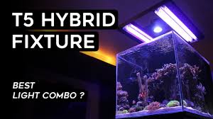 Aquatic Life T5 Hybrid Fixture Review Best Combo With Led Light Youtube