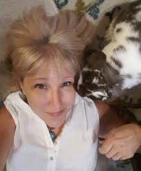 Rabbit running around bottom of Jutland road