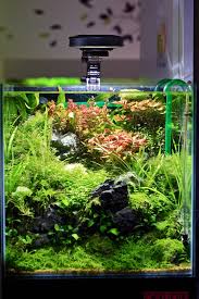 Best Aquascaping Design Ideas To Decor Your Aquarium Extraordinary Aquascaping Ideas With Artificial Plants Aquas Aquascape Design Aquarium Aquarium Design