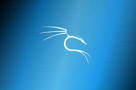 Pin On Kali Linux