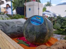 Abandonada há 30 anos, Tanguá resgatou, neste final de semana, a cultura da  feira livre – Prefeitura de Tangua