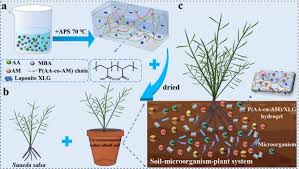 Image result for Suaeda sp. B