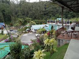 Kampung taman sedia, cameron highlands, from jalan pejabat hutan (2 may, 2016). Marina Chalet Cameron Highlands Pahang Home Facebook